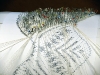 Bobbin Lace